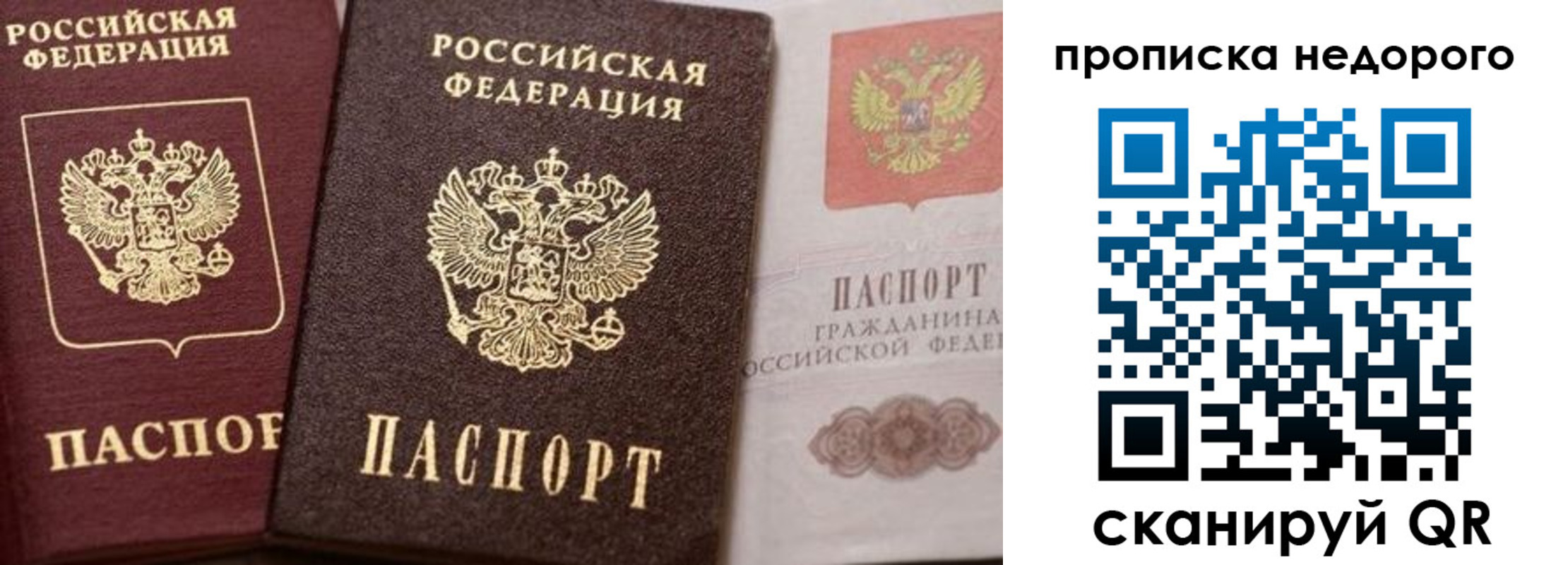 временная регистрация надежно в Чите